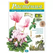 Растения
