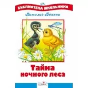 Тайна ночного леса