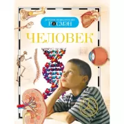 Человек