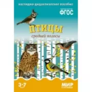 Птицы средней полосы