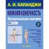 Нижняя конечность. Функциональная анатомия