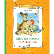 Шел по городу волшебник