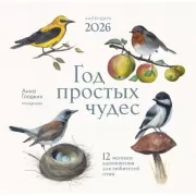 Год простых чудес