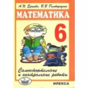 Математика. 6 класс. Самостоятельные и контрольные работы