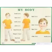 My Body