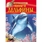 Киты и дельфины