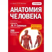 Анатомия человека