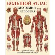 Большой атлас анатомии человека