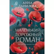 Маленький дорожный роман