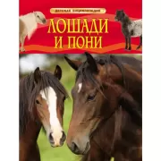 Лошади и пони