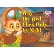 Почему сова летает только ночью