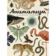 Анималиум