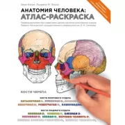 Анатомия человека: атлас-раскраска