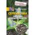 Семена чиа. Уникальное природное лекарство