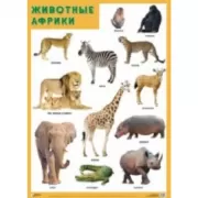Животные Африки