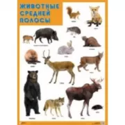 Животные средней полосы