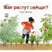 Как растут овощи?