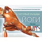 Ключевые мышцы йоги