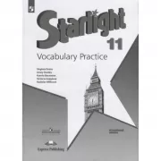 Английский язык. Лексический практикум. 11 класс