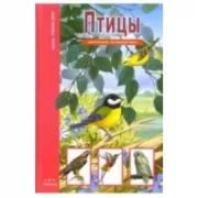 Птицы