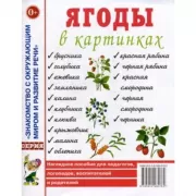 Ягоды в картинках. Наглядное пособие для педагогов, логопедов, воспитателей и родителей