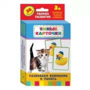 Развиваем внимание и память