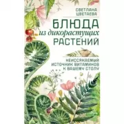 Блюда из дикорастущих растений. Неиссякаемый источник витаминов к вашему столу