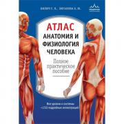 Атлас. Анатомия и физиология человека