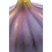 Блокнот со спелым инжиром