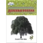Деревья России