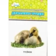 Домашние птицы