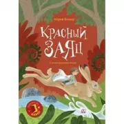 Красный заяц