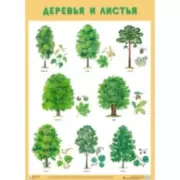 Деревья и листья