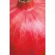 Блокнот с сочным гранатом