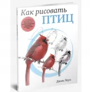 Как рисовать птиц