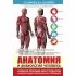 Анатомия и физиология человека. Учебное пособие для студентов учреждений среднего профессионального образования