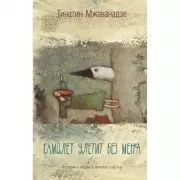 Самолет улетит без меня