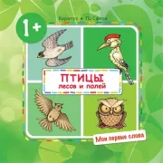 Птицы лесов и полей