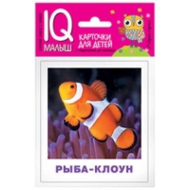 Обитатели морей и океанов
