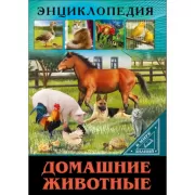 Домашние животные