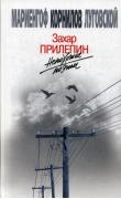 Непохожие поэты