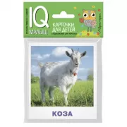 Домашние животные