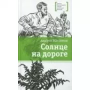 Солнце на дороге