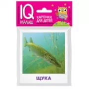 Пресноводные рыбы