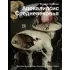 Апокалипсис Средневековья. Иероним Босх, Иван Грозный, Конец света