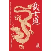 Тетрадь для записи иероглифов