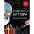 Анатомия Неттера. Атлас-раскраска