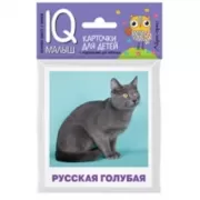 Породы кошек