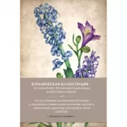 Ботаническая иллюстрация