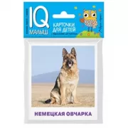 Породы собак